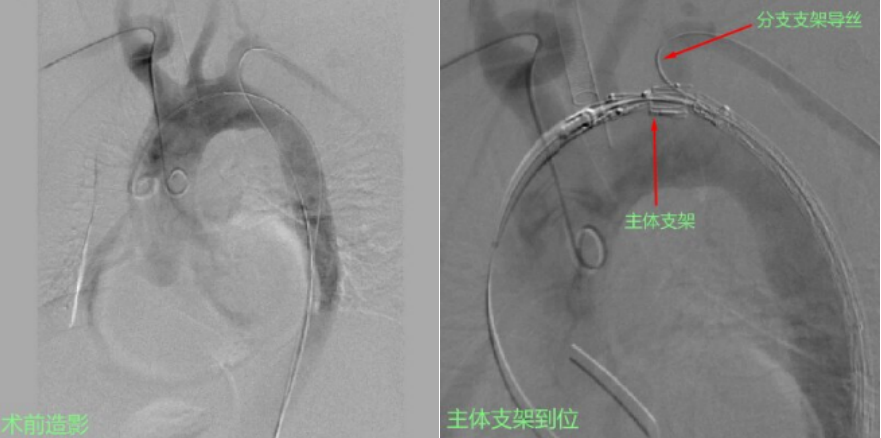 QQ20250428-104942.jpg