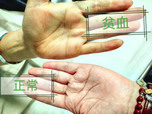 图片1.jpg 图片1.jpg